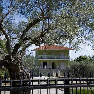 Olivegrove House Appartamento